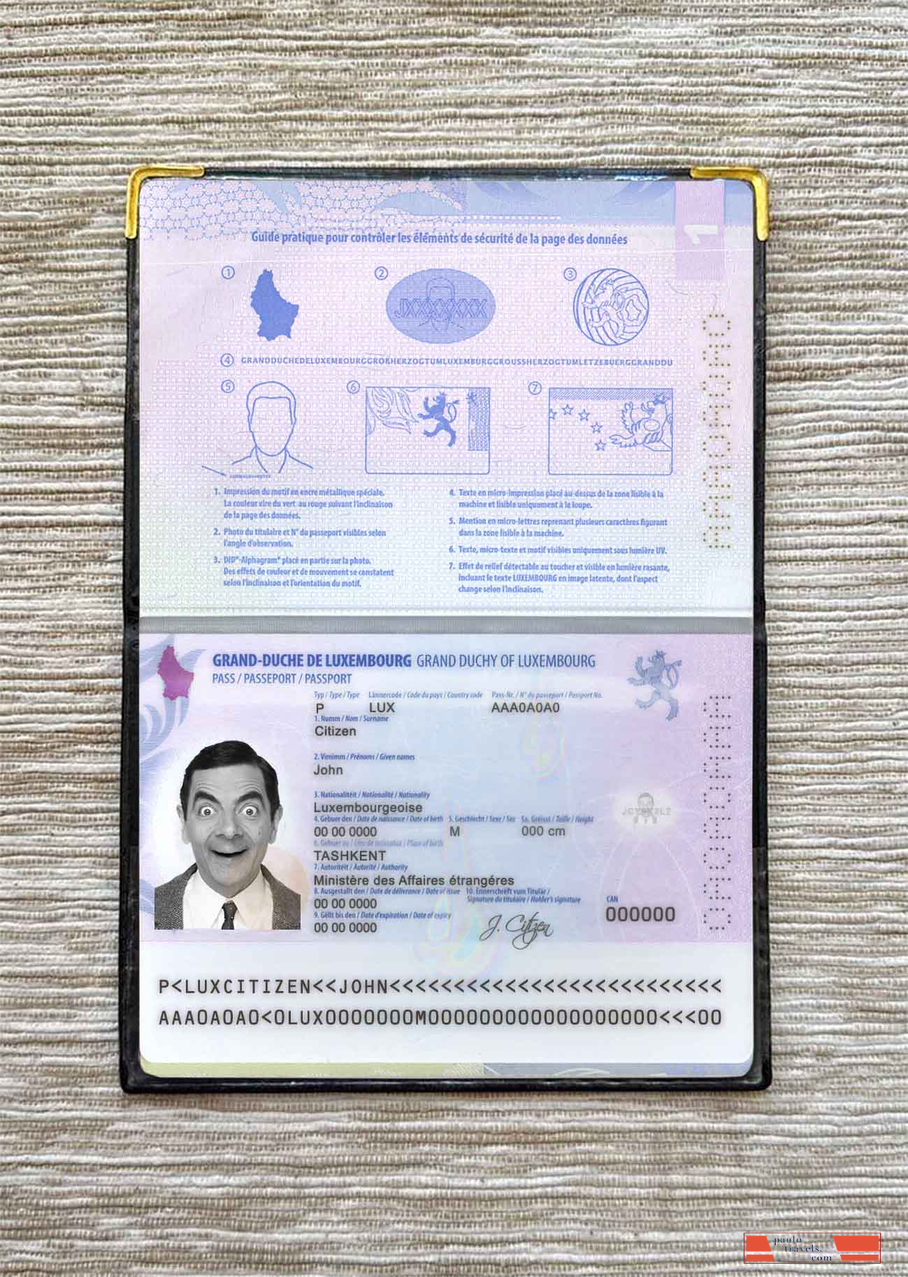 Luxembourg passport photo look PSD template